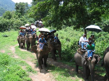 Chiang Mai Family Packages, 4 Days/ 3 Nights