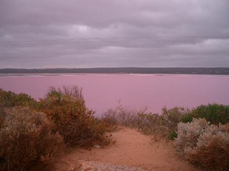 Port Gregory - Pink Lake