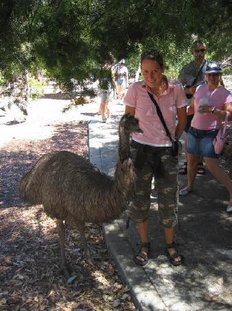 emu and nora - Rod Hull eat your heart out...this is the real thing!)