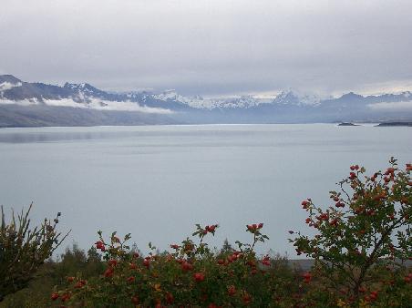 mount cook - view from pukaki lake