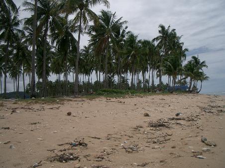 tsunami destroyed beach in koh lanta - no hurry to clean it up as high season only starts in 1 week!